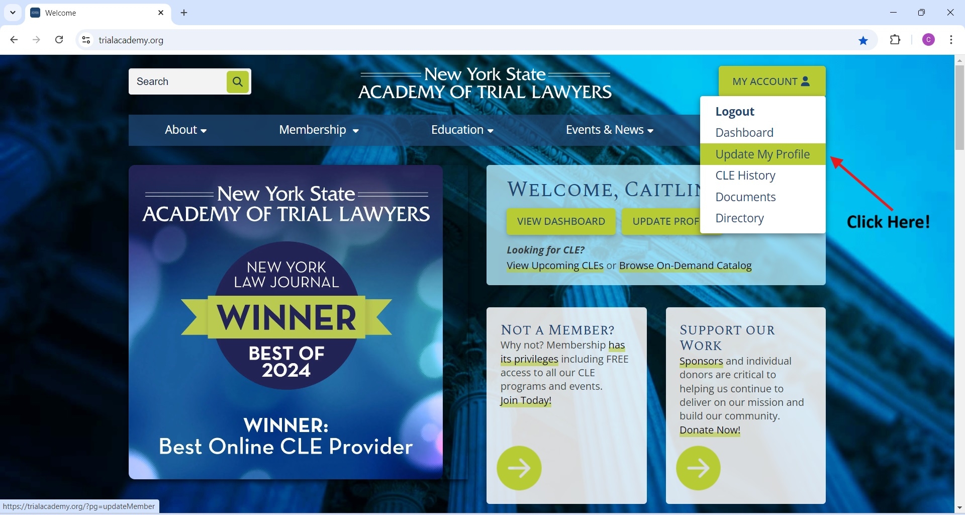 Screenshot of homepage highlighting the 'update my profile' nav item in the 'my account' dropdown menu.